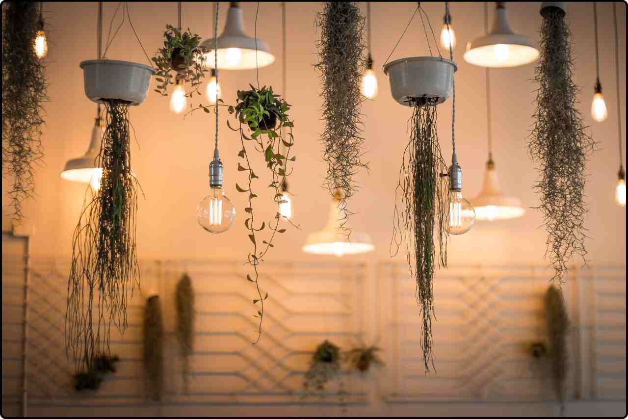 Outdoor fairy lights hanging from tree branches, illuminating a backyard for a festive event.